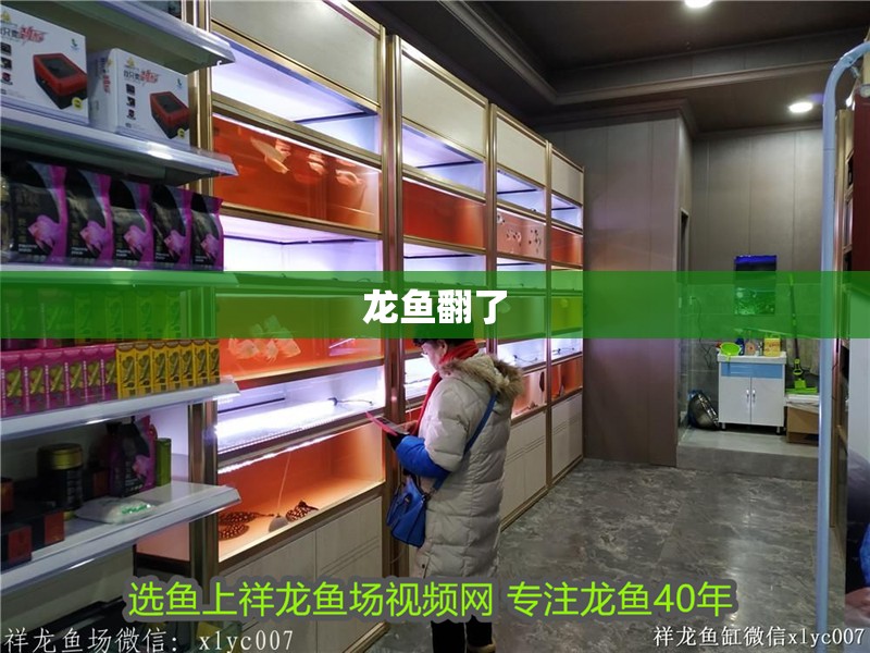 龍魚翻了