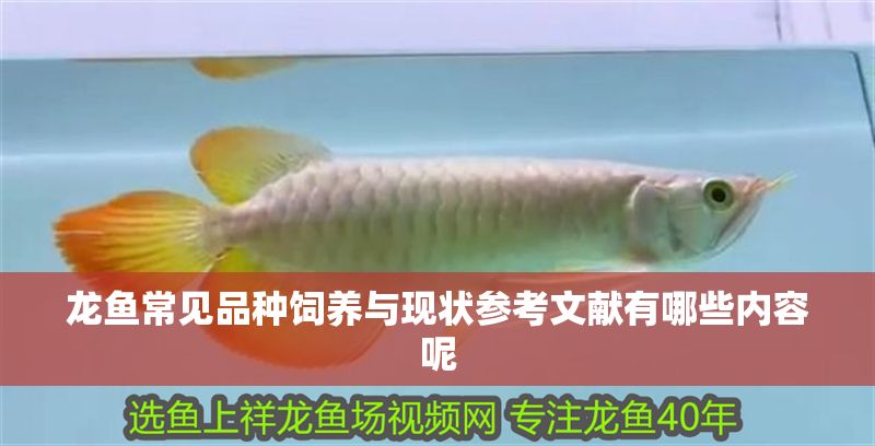 龍魚常見品種飼養(yǎng)與現(xiàn)狀參考文獻(xiàn)有哪些內(nèi)容呢