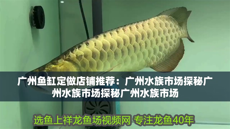詳細閱讀:廣州魚缸定做店鋪推薦:廣州水族市場探秘廣州水族市場探秘廣州水族市場 廣州魚缸定做店鋪推薦:廣州水族市場探秘廣州水族市場探秘廣州水族市場