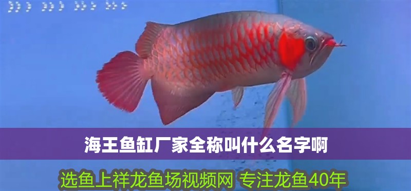 海王魚缸廠家全稱叫什么名字啊