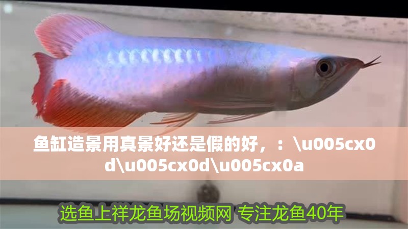 魚缸造景用真景好還是假的好，：\u005cx0d\u005cx0d\u005cx0a