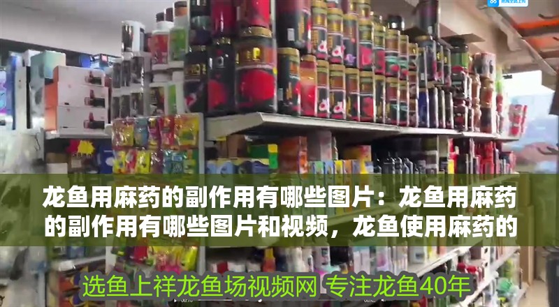 龍魚用麻藥的副作用有哪些圖片：龍魚用麻藥的副作用有哪些圖片和視頻，龍魚使用麻藥的副作用圖文與