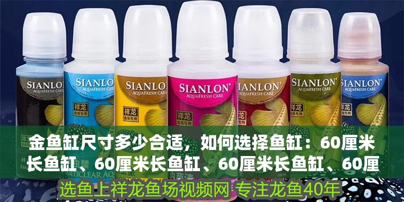 金魚缸尺寸多少合適，如何選擇魚缸：60厘米長魚缸、60厘米長魚缸、60厘米長魚缸、60厘米長魚缸