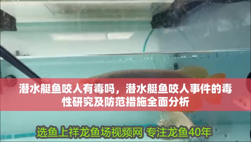 潛水艇魚咬人有毒嗎，潛水艇魚咬人事件的毒性研究及防范措施全面分析