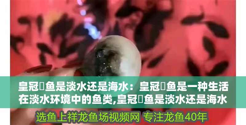 皇冠魟魚是淡水還是海水：皇冠魟魚是一種生活在淡水環境中的魚類,皇冠魟魚是淡水還是海水