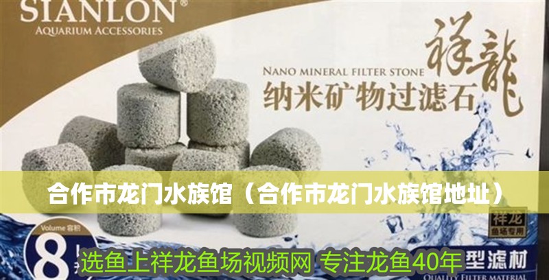 合作市龍門水族館（合作市龍門水族館地址）