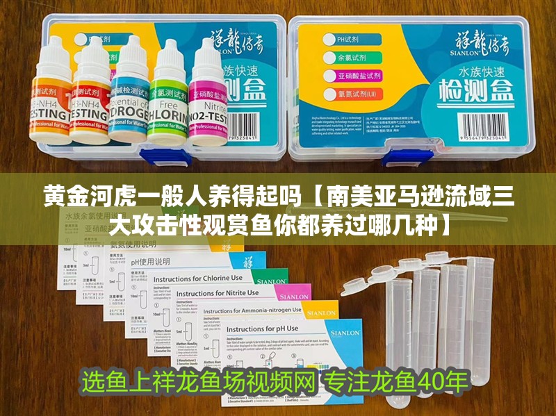 龍魚干蝦有營養嗎 黃金河虎一般人養得起嗎【南美亞馬遜流域三大攻擊性觀賞魚你都養過哪幾種】 龍魚論壇 黃金河虎一般人養得起嗎【南美亞馬遜流域三大攻擊性觀賞魚你都養過哪幾種】 黃金河虎一般人養得起嗎【南美亞馬遜流域三大攻擊性觀賞魚你都養過哪幾種】 龍魚論壇