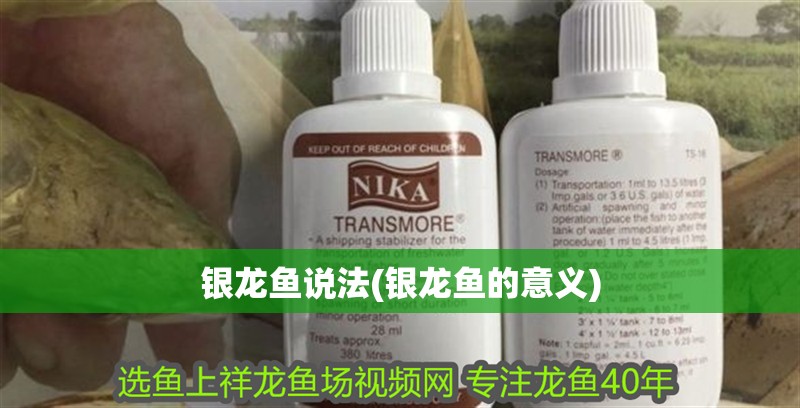 銀龍魚說法(銀龍魚的意義)