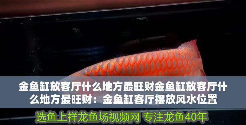 金魚缸放客廳什么地方最旺財金魚缸放客廳什么地方最旺財：金魚缸客廳擺放風(fēng)水位置