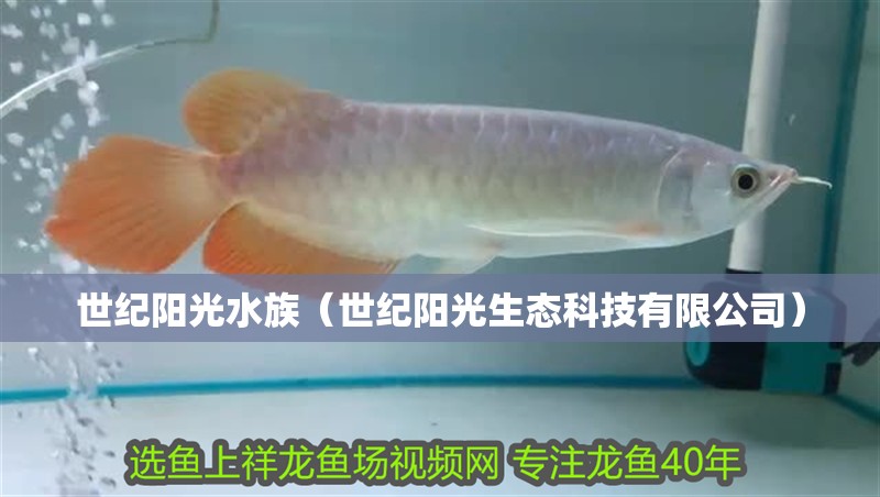 世紀陽光水族(世紀陽光生態(tài)科技有限公司) 全國水族館企業(yè)名錄 第2張 世紀陽光水族(世紀陽光生態(tài)科技有限公司) 世紀陽光水族(世紀陽光生態(tài)科技有限公司) 全國水族館企業(yè)名錄 第2張