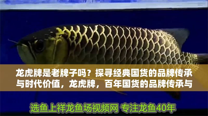 龍虎牌是老牌子嗎？探尋經典國貨的品牌傳承與時代價值，龍虎牌，百年國貨的品牌傳承與時代價值探析