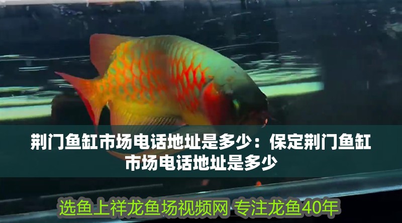 荊門魚缸市場電話地址是多少：保定荊門魚缸市場電話地址是多少 荊門魚缸市場電話地址是多少：保定荊門魚缸市場電話地址是多少 魚缸百科