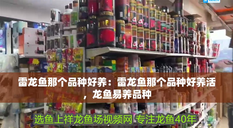 雷龍魚那個品種好養：雷龍魚那個品種好養活，龍魚易養品種