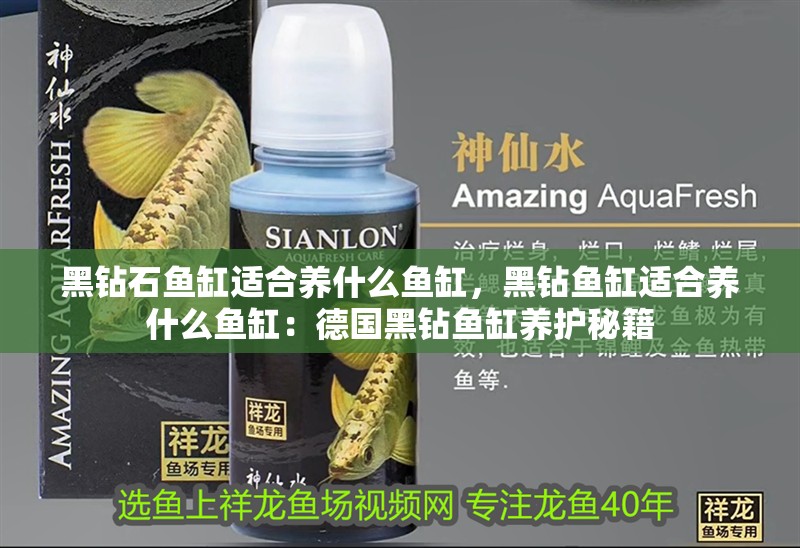 黑鉆石魚缸適合養什么魚缸，黑鉆魚缸適合養什么魚缸：德國黑鉆魚缸養護秘籍