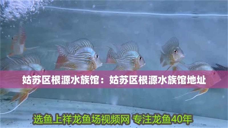 姑蘇區根源水族館：姑蘇區根源水族館地址