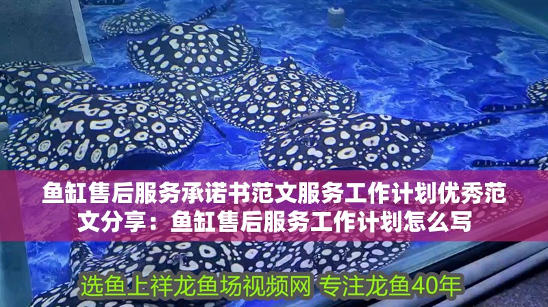 魚缸售后服務承諾書范文服務工作計劃優秀范文分享：魚缸售后服務工作計劃怎么寫