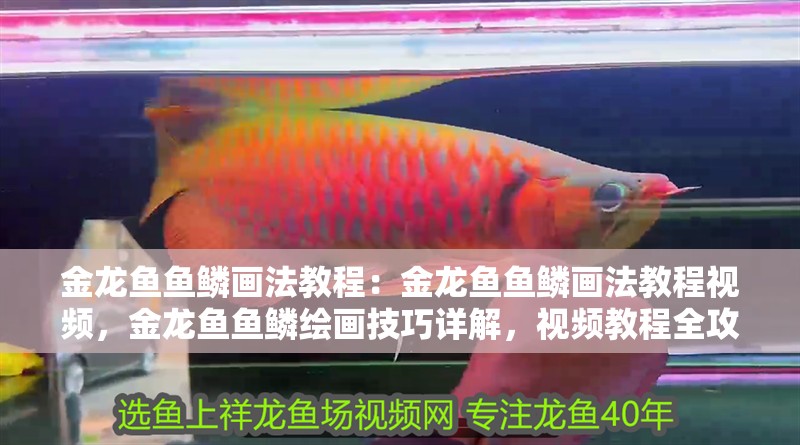 金龍魚魚鱗畫法教程：金龍魚魚鱗畫法教程視頻，金龍魚魚鱗繪畫技巧詳解，視頻教程全攻略