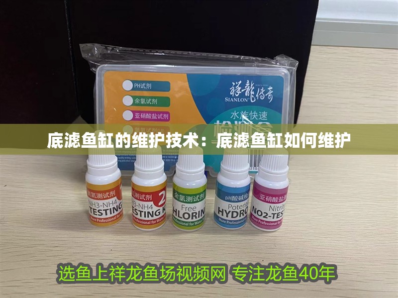 底濾魚缸的維護(hù)技術(shù)：底濾魚缸如何維護(hù) 底濾魚缸的維護(hù)技術(shù)：底濾魚缸如何維護(hù) 魚缸百科