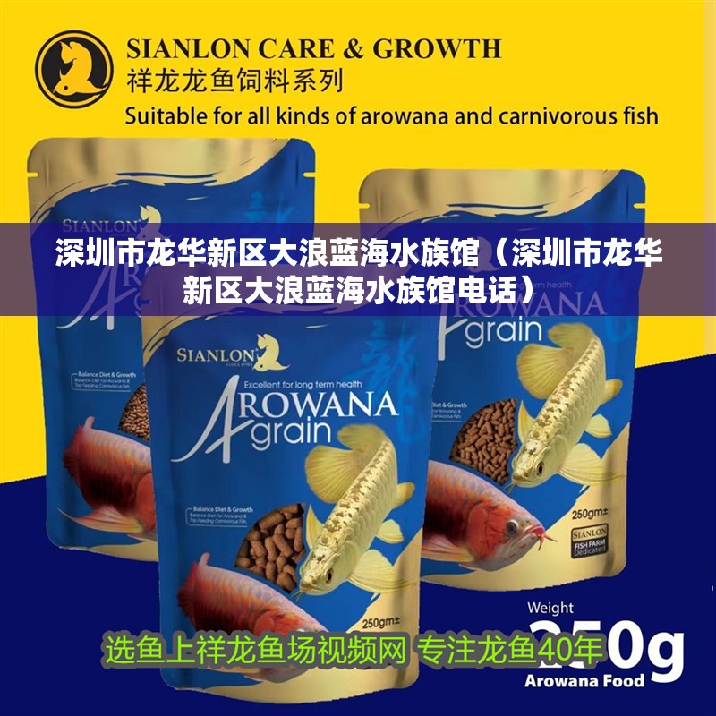 深圳市龍華新區(qū)大浪藍海水族館（深圳市龍華新區(qū)大浪藍海水族館電話）