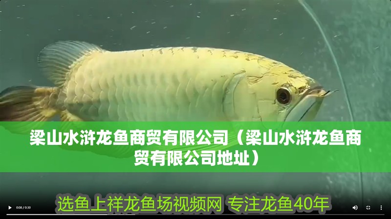 梁山水滸龍魚商貿有限公司（梁山水滸龍魚商貿有限公司地址）