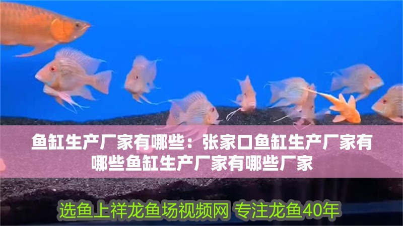 魚(yú)缸生產(chǎn)廠家有哪些：張家口魚(yú)缸生產(chǎn)廠家有哪些魚(yú)缸生產(chǎn)廠家有哪些廠家