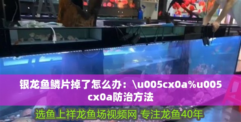 銀龍魚鱗片掉了怎么辦：\u005cx0a%u005cx0a防治方法