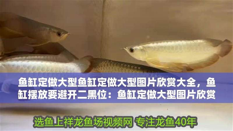 魚缸定做大型魚缸定做大型圖片欣賞大全，魚缸擺放要避開二黑位：魚缸定做大型圖片欣賞大全