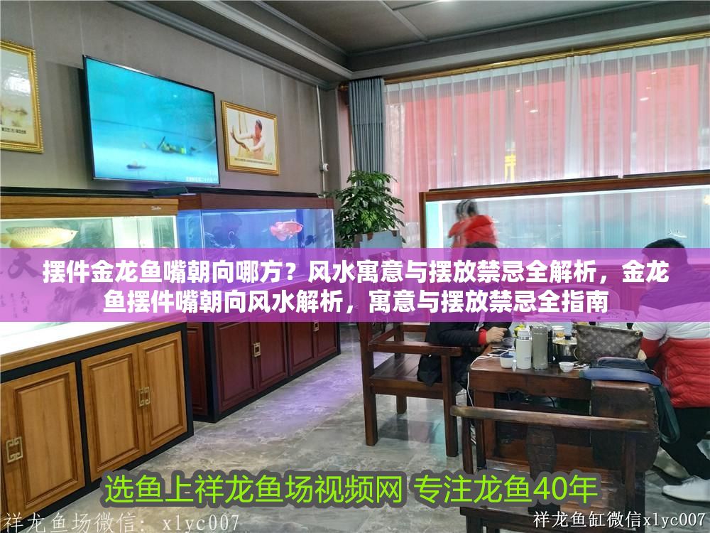 擺件金龍魚嘴朝向哪方？風水寓意與擺放禁忌全解析，金龍魚擺件嘴朝向風水解析，寓意與擺放禁忌全指南