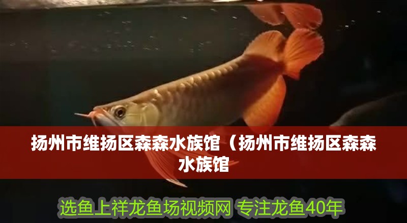 揚州市維揚區森森水族館（揚州市維揚區森森水族館