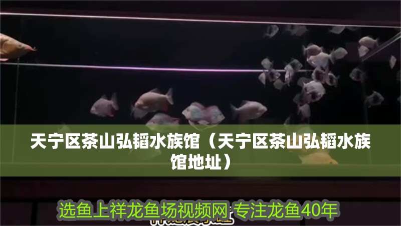 天寧區茶山弘韜水族館（天寧區茶山弘韜水族館地址）