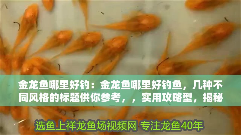 金龍魚哪里好釣：金龍魚哪里好釣魚，幾種不同風格的標題供你參考，，實用攻略型，揭秘金龍魚絕佳垂釣點，輕松收獲大物！，疑問引導型，金龍魚究竟何處最易上鉤？答案在此！，直白陳述型，鎖定金龍魚好釣之地，開啟 金龍魚哪里好釣：金龍魚哪里好釣魚，幾種不同風格的標題供你參考，，實用攻略型，揭秘金龍魚絕佳垂釣點，輕松收獲大物！，疑問引導型，金龍魚究竟何處最易上鉤？答案在此！，直白陳述型，鎖定金龍魚好釣之地，開啟 水族問答