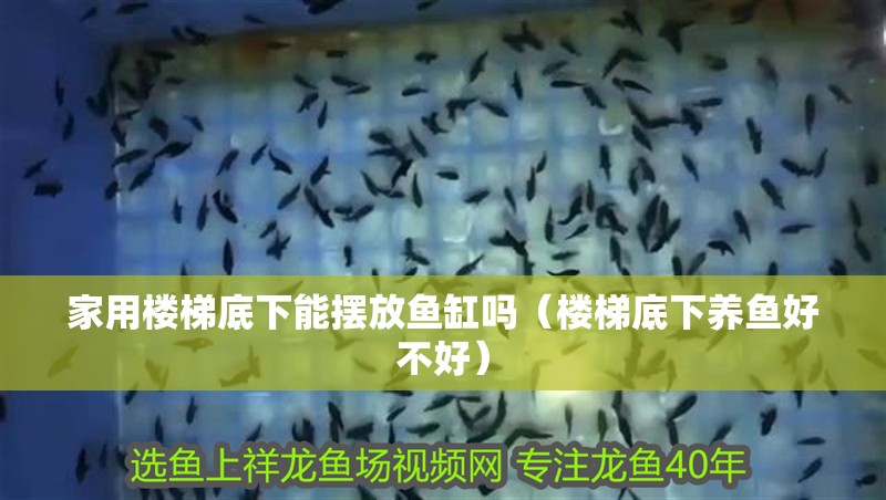 家用樓梯底下能擺放魚缸嗎（樓梯底下養(yǎng)魚好不好）