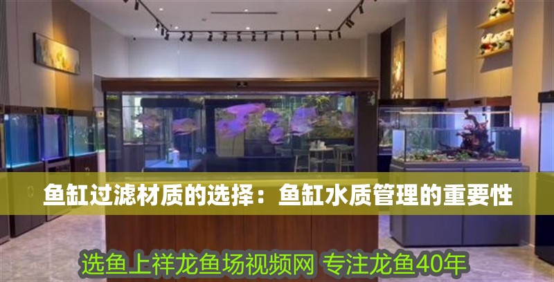 魚缸過濾材質的選擇：魚缸水質管理的重要性