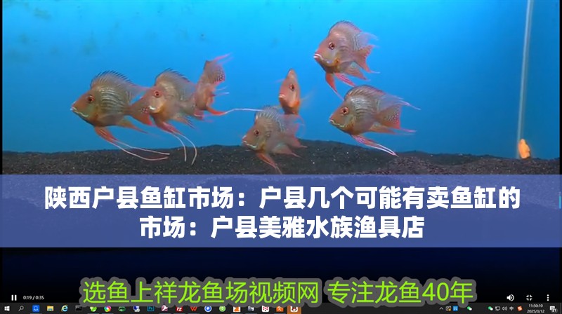 陜西戶縣魚缸市場：戶縣幾個可能有賣魚缸的市場：戶縣美雅水族漁具店