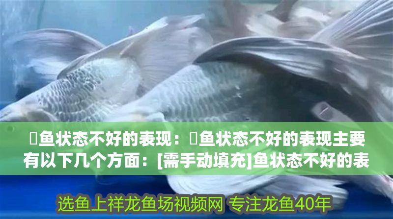 魟魚狀態不好的表現：魟魚狀態不好的表現主要有以下幾個方面：[需手動填充]魚狀態不好的表現 魟魚狀態不好的表現：魟魚狀態不好的表現主要有以下幾個方面：[需手動填充]魚狀態不好的表現 魟魚百科 第2張