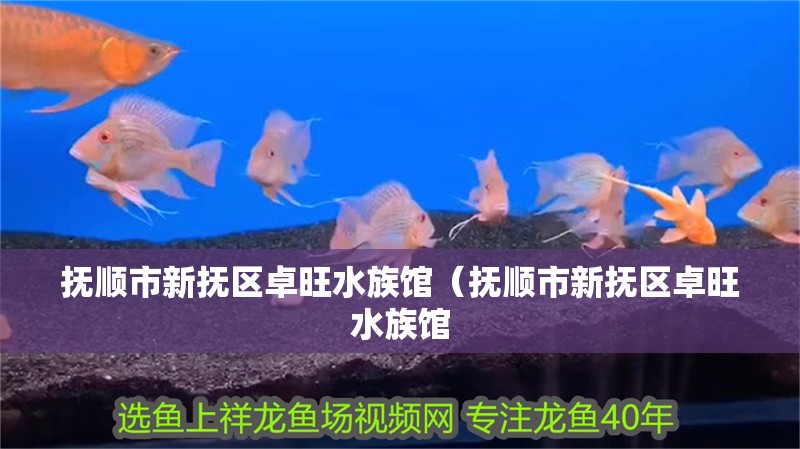 撫順市新撫區卓旺水族館（撫順市新撫區卓旺水族館