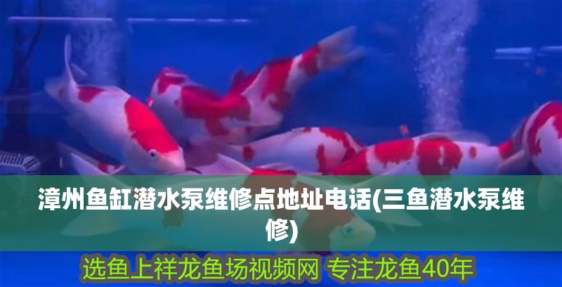 漳州魚缸潛水泵維修點(diǎn)地址電話(三魚潛水泵維修)
