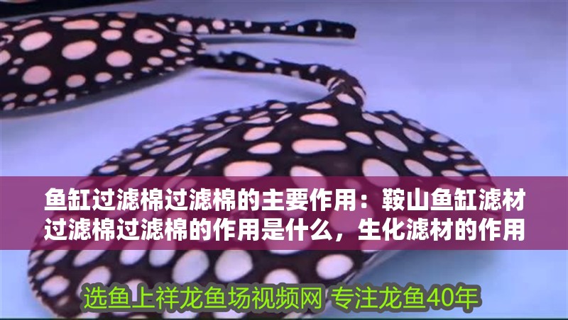 魚缸過濾棉過濾棉的主要作用：鞍山魚缸濾材過濾棉過濾棉的作用是什么，生化濾材的作用