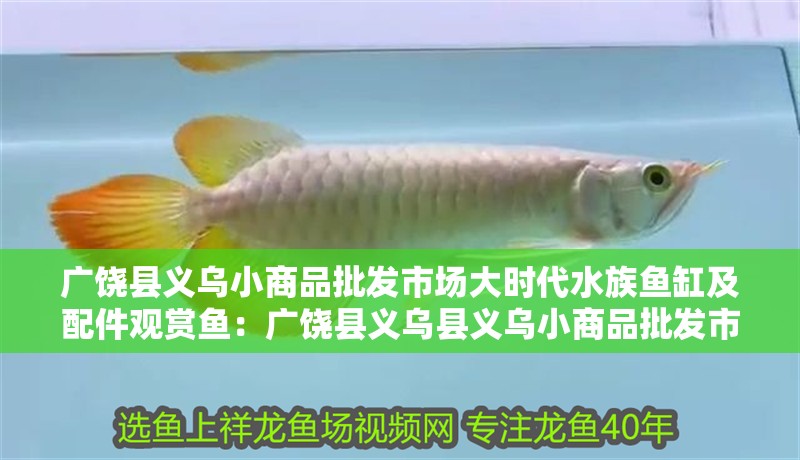廣饒縣義烏小商品批發市場大時代水族魚缸及配件觀賞魚：廣饒縣義烏縣義烏小商品批發市場大時代水族魚缸及配件