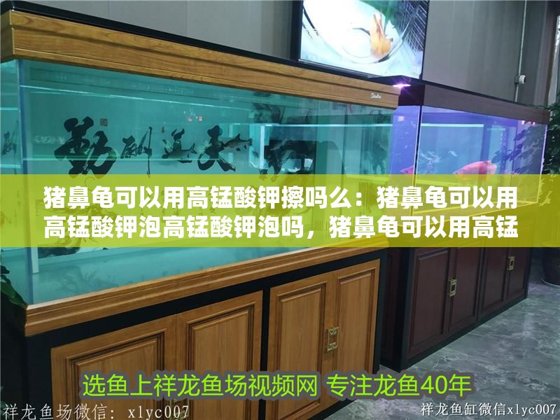 如何判斷魚缸該換水了，如何判斷魚缸是否需要換水