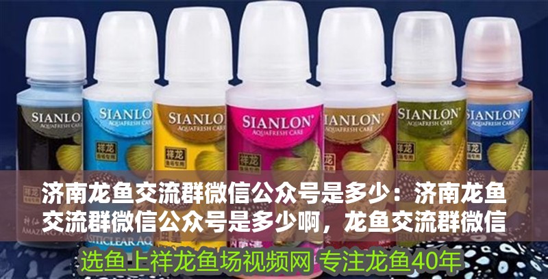 濟(jì)南龍魚交流群微信公眾號是多少：濟(jì)南龍魚交流群微信公眾號是多少啊，龍魚交流群微信公眾號