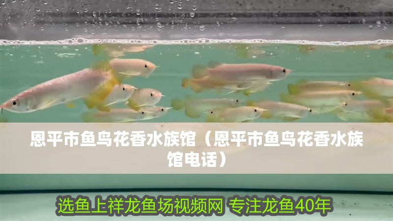 恩平市魚鳥花香水族館（恩平市魚鳥花香水族館電話）