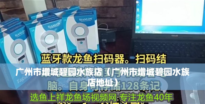 廣州市增城碧園水族店（廣州市增城碧園水族店地址）