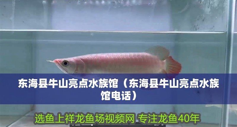 東?？h牛山亮點(diǎn)水族館（東海縣牛山亮點(diǎn)水族館電話）