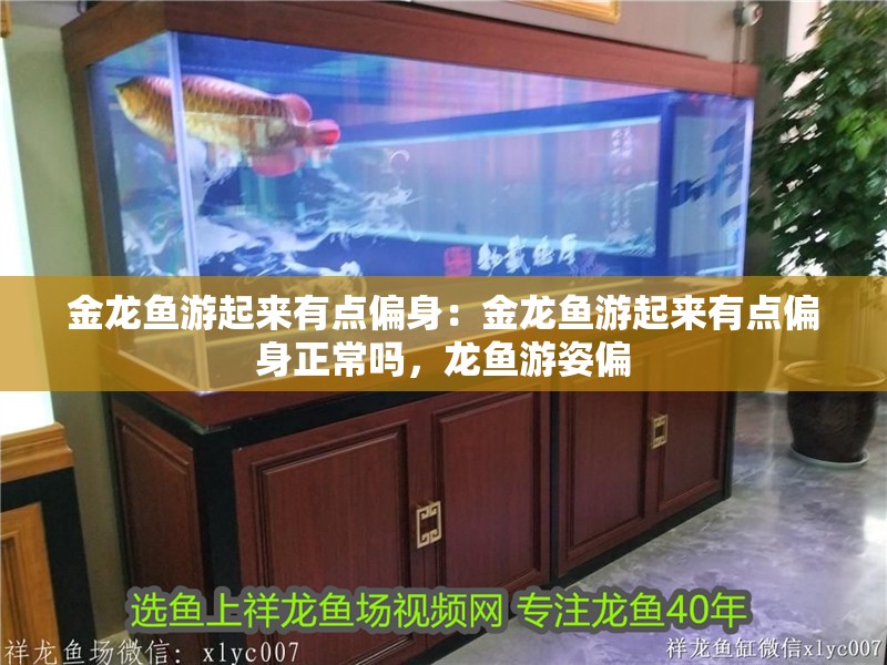 金龍魚游起來有點偏身：金龍魚游起來有點偏身正常嗎，龍魚游姿偏