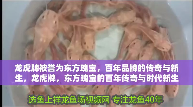 龍虎牌被譽為東方瑰寶，百年品牌的傳奇與新生，龍虎牌，東方瑰寶的百年傳奇與時代新生