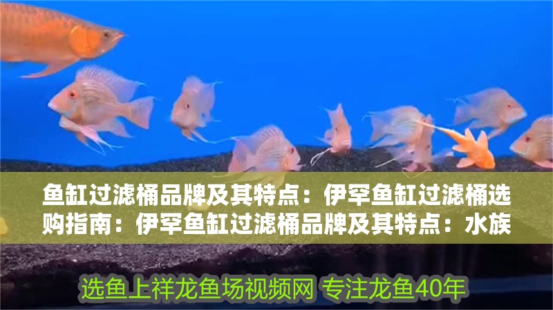魚缸過濾桶品牌及其特點：伊罕魚缸過濾桶選購指南：伊罕魚缸過濾桶品牌及其特點：水族過濾技術的發展歷程