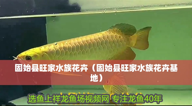 固始縣旺家水族花卉（固始縣旺家水族花卉基地）