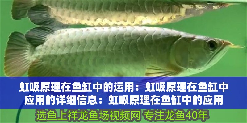 虹吸原理在魚缸中的運用：虹吸原理在魚缸中應用的詳細信息：虹吸原理在魚缸中的應用