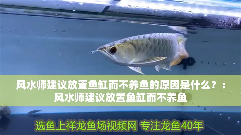 風(fēng)水師建議放置魚缸而不養(yǎng)魚的原因是什么？：風(fēng)水師建議放置魚缸而不養(yǎng)魚